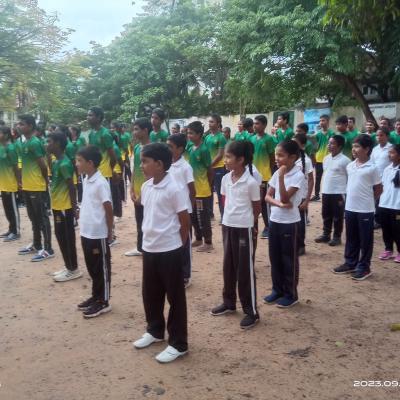 384766145 255879334109545 5054666867047791026 N