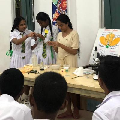 408240154 295687503462061 4472667559121283396 N