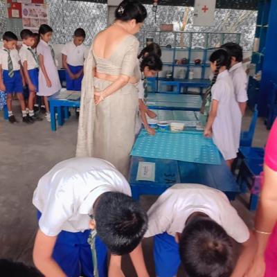 408261859 294889453541866 789146377274036275 N